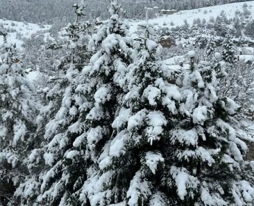 Una delle 9 migliori destinazioni invernali in Albania