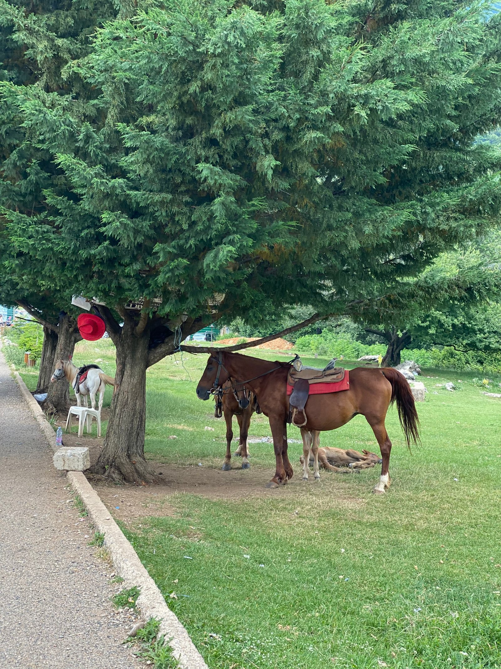 Parco nazionale Dajti