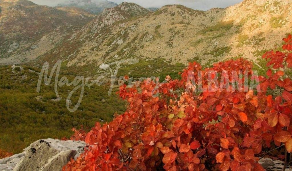 Best time to visit albania: autumn season